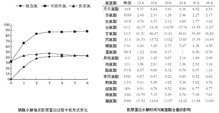 胰酶水解猪皮胶原蛋白