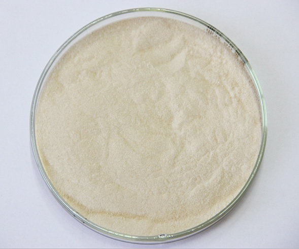 面粉增白剂 脂肪酶