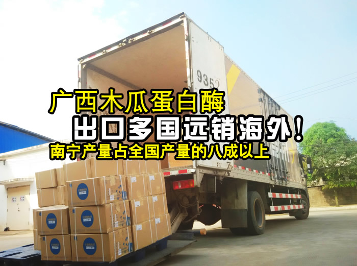 广西南宁木瓜raybet雷竞技 出口
