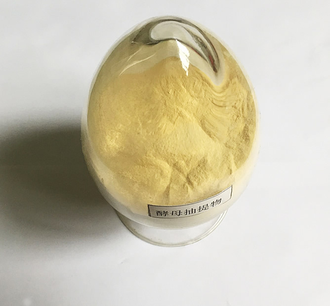酵母抽提物 酵母抽提物专用酶