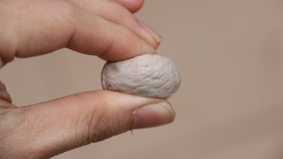做肉丸用什么可以代替高弹素达到增弹增脆的效果？