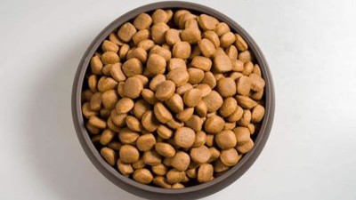 猫粮风味剂的生产如何选择酶制剂？