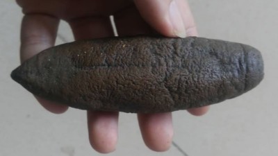 海参外皮怎么处理干净，使用木瓜蛋白酶还是复合酶呢