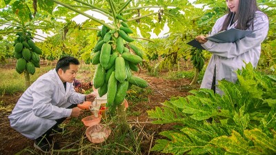 酶制剂公司排名：哪个厂家在食品、饲料、工业领域拔得头筹