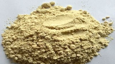 水解大豆分离蛋白做肽可用的酶制剂有哪些？