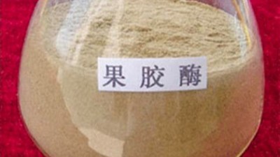果胶酶的作用原理，正确使用方法与用量