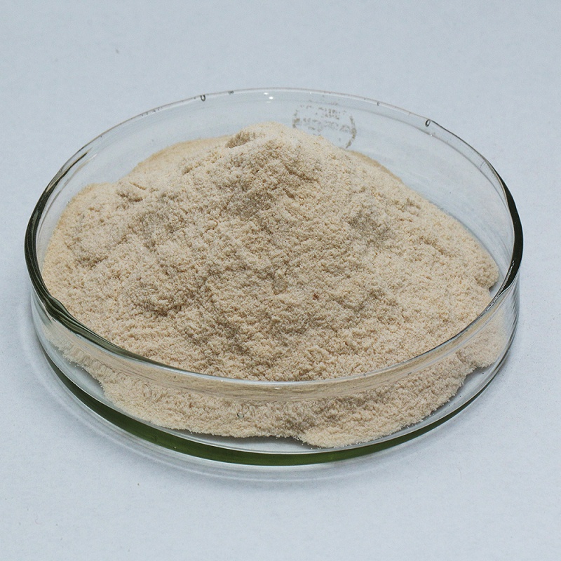 neutral protease