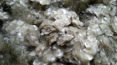碱性蛋白酶酶解鱼鳞制备胶原蛋白多肽，成品有沉淀？