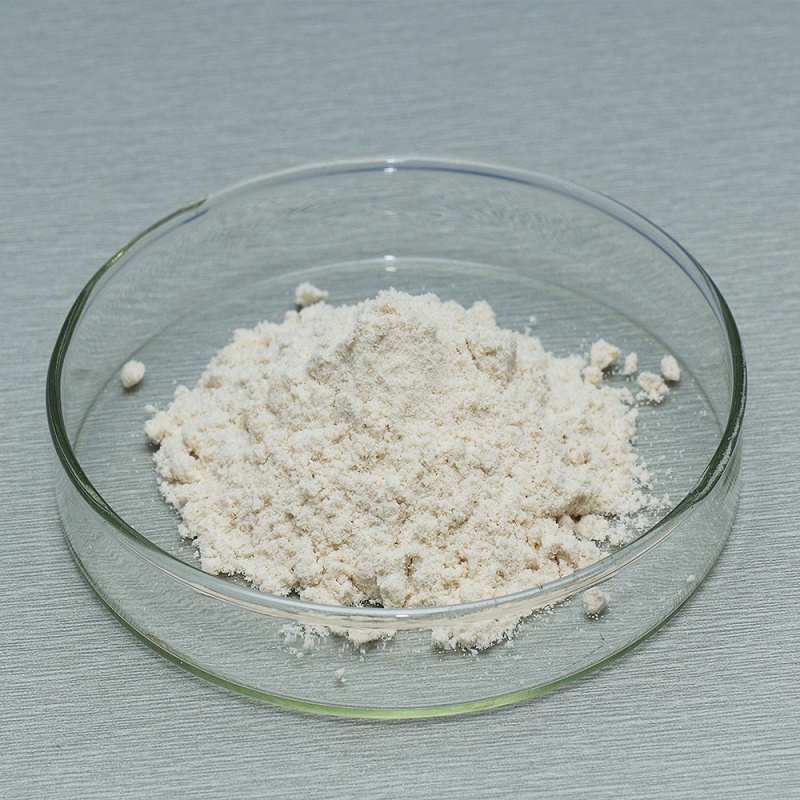acid protease