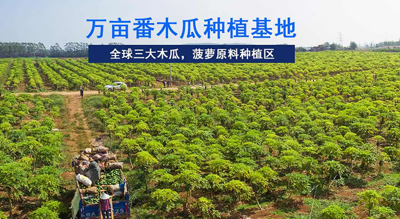 图片 6_r1_c1