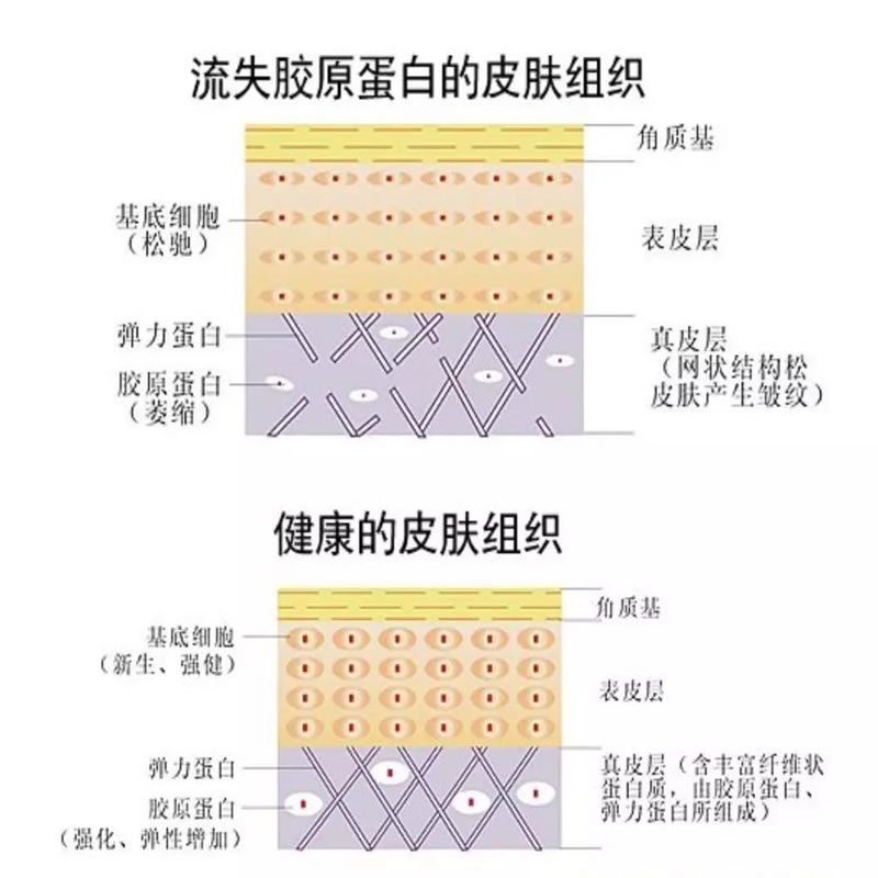 美容护肤品