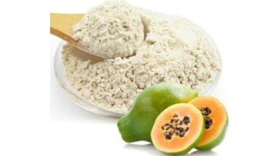 蛋白酶在食品加工中有哪些作用？