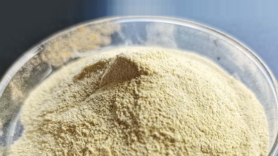 同叫 真菌α-淀粉酶，品型差别竟然这么大？