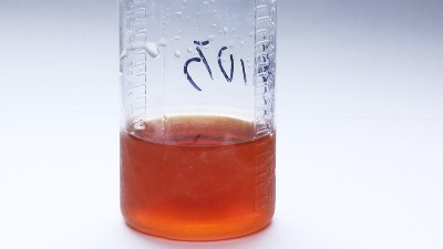 碱性蛋白酶在洗衣液中的作用