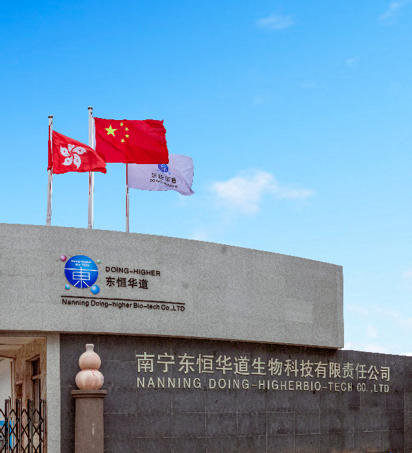 东恒华道概况