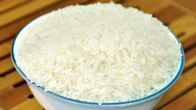制取大米蛋白肽，需要用到的酶制剂有哪些？