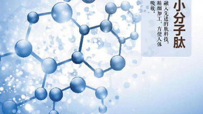 关于蛋白质与蛋白肽的区别，您有了解多少？