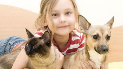 猫犬风味剂生产选择复合酶，还是单体酶制剂？