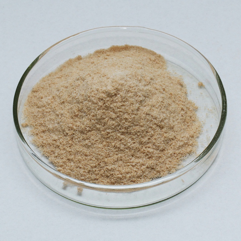 Alkaline protease