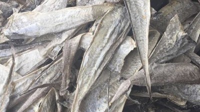 水解鱼皮做胶原蛋白肽有苦味，风味酶能去除苦味吗？