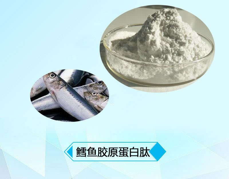 图片 2_r1_c1