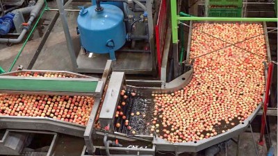 纤维素酶黑科技：重新定义苹果汁品质标准