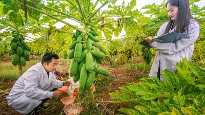 食品酶制剂在食品加工中的应用