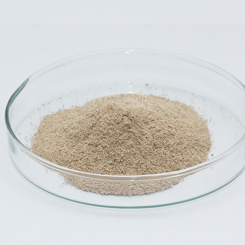 acid protease2