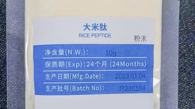 复配蛋白酶赋能大米蛋白肽——从工艺突破到功能升级