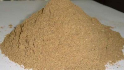 如何利用生物酶解技术酶解鱼粉制备调味品
