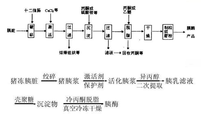 胰酶 工艺流程