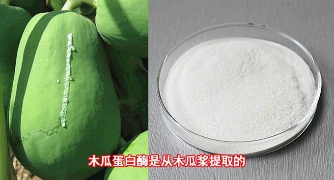 嫩肉粉 淀粉 生粉 食粉