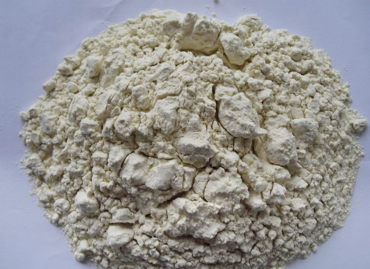 大豆蛋白