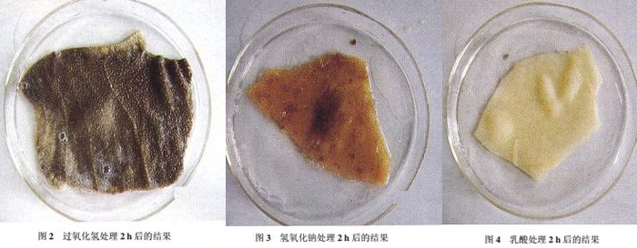 双氧水处理毛肚