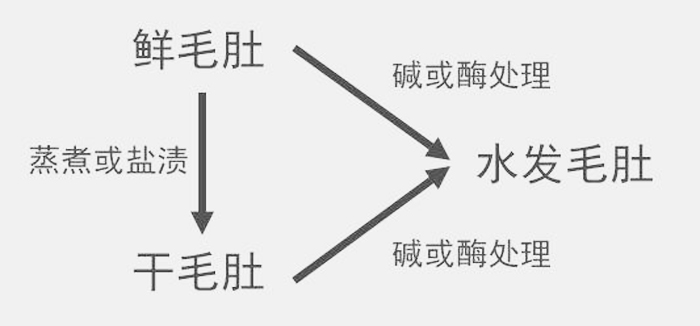 水发毛肚