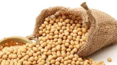 大豆豆粕酶解技术在饲料行业的应用
