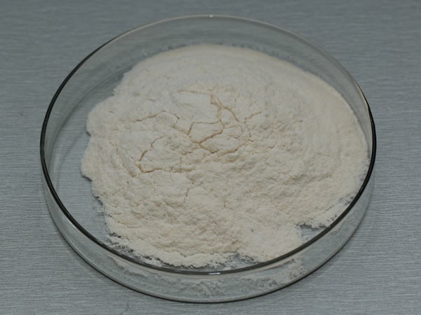 纤维素酶 cellulase