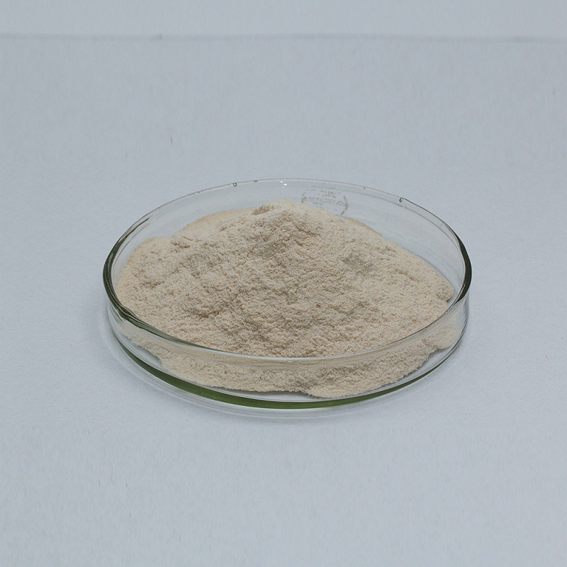 Alkaline protease14