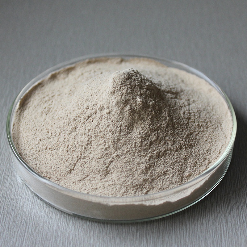 Pancreatin enzymes5