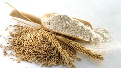 如何利用小麦蛋白酶解制备小麦蛋白多肽？