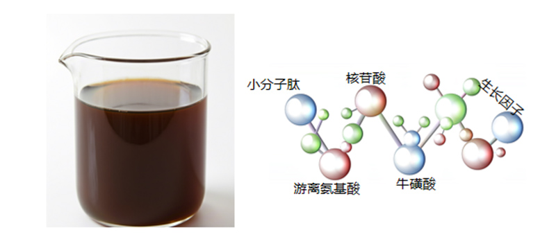 鱼溶浆 鱼溶浆