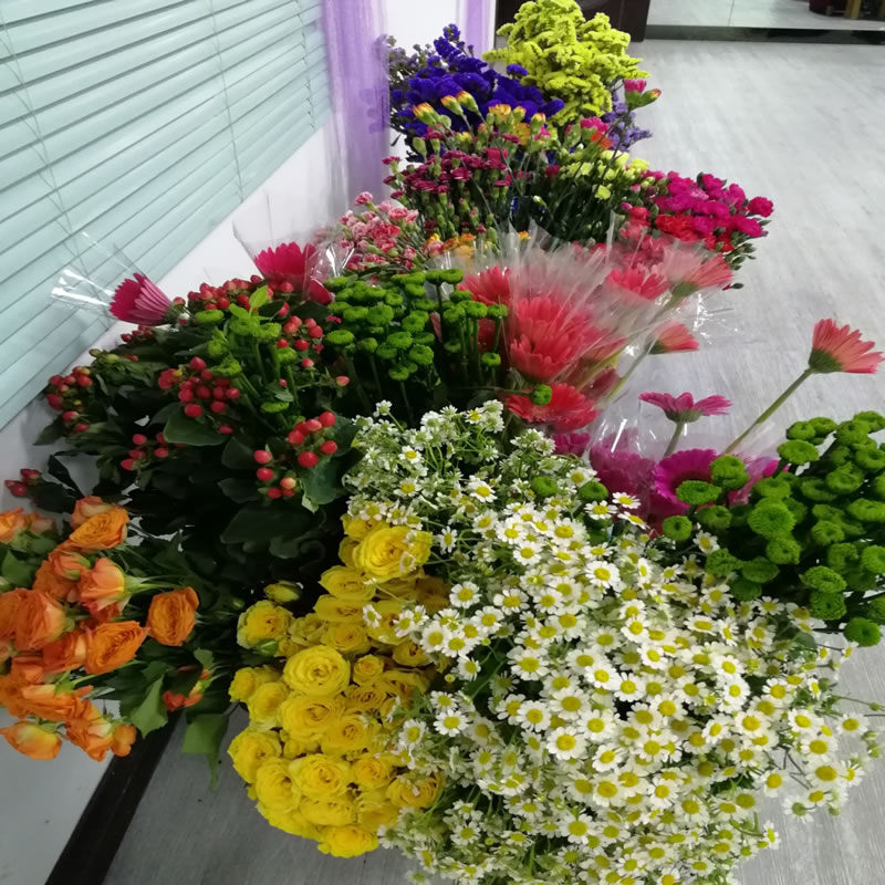 感恩母亲节1