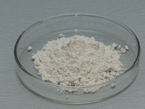腐乳发酵酶