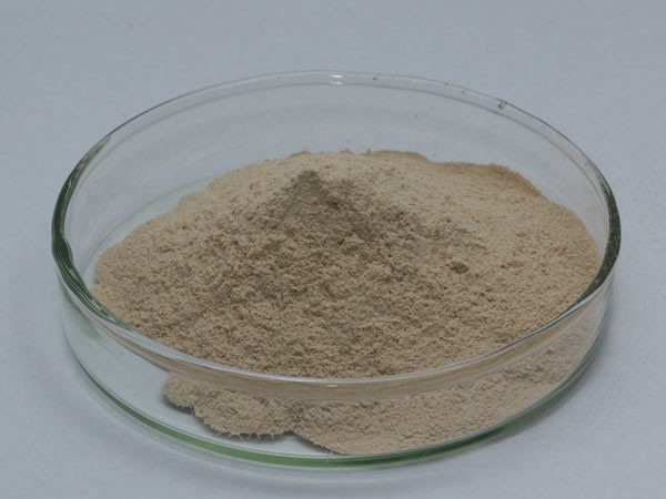 果胶甲脂酶 PE