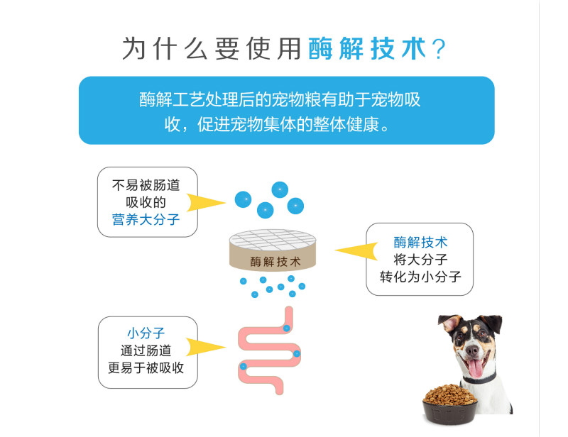 生产宠物诱食剂