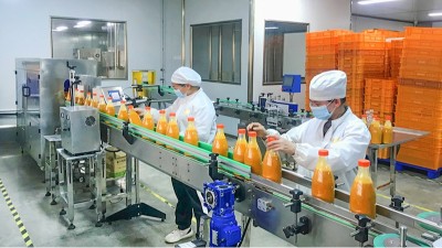 果汁澄清效率低、成本高？果胶酶给出优解决方案