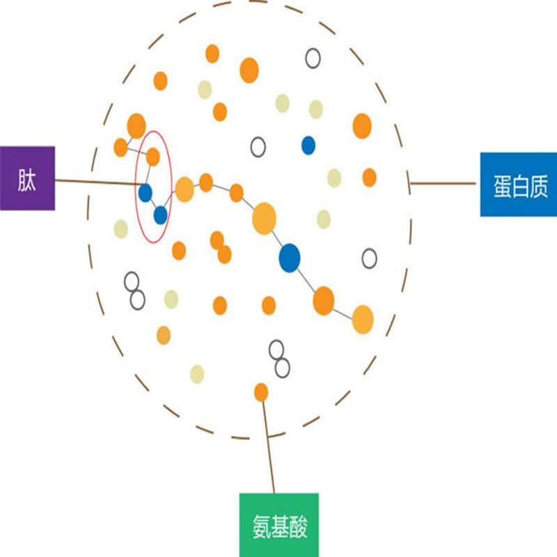 酶解技术