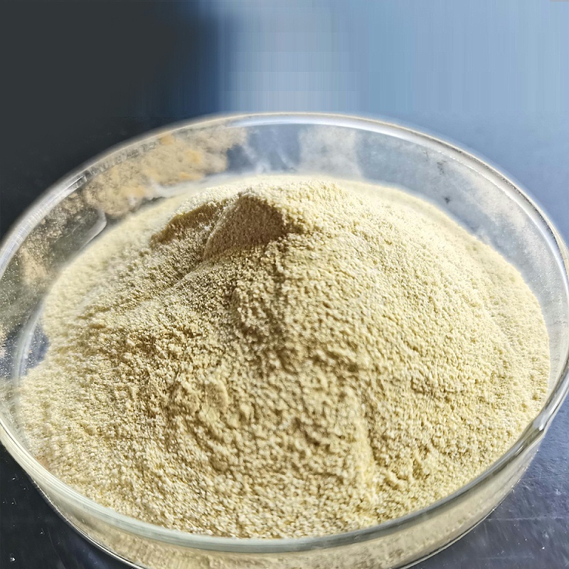 Fungal alpha-amylase11