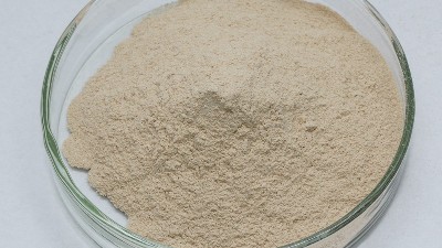 为什么碱性蛋白酶是洗涤剂常用酶？