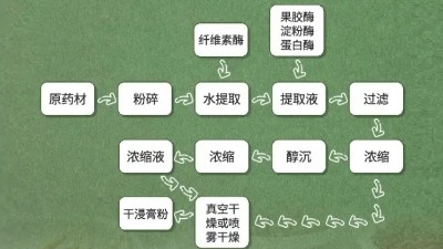 酶制剂在植物提取物中有哪些优势